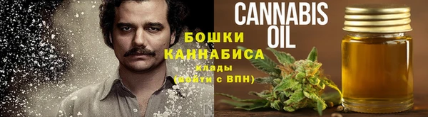 гашик Переславль-Залесский
