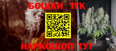 крисы Заводоуковск