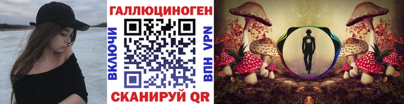 наркотики  Махачкала  Псилоцибиновые грибы прущие грибы 