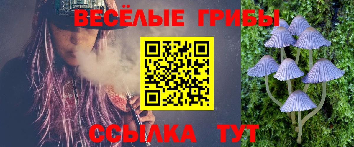 Псилоцибиновые грибы мицелий Махачкала