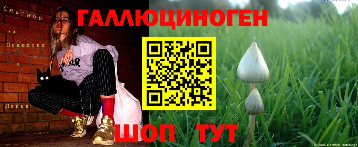 Махачкала  Галлюциногенные грибы прущие грибы  купить наркотики цена  Вход с VPN 